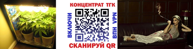 ТГК Wax Александров