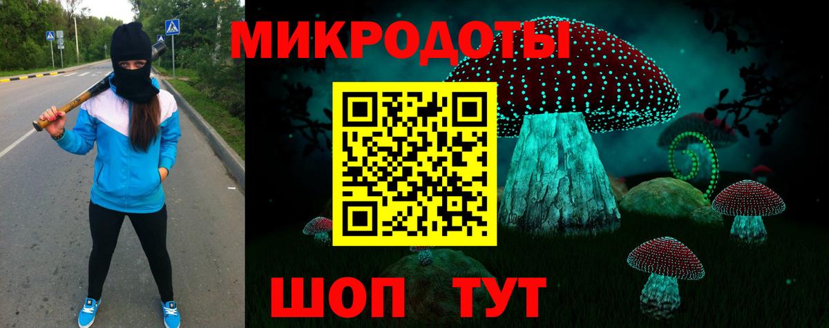 Александров  Псилоцибиновые грибы Cubensis  Вход с VPN 