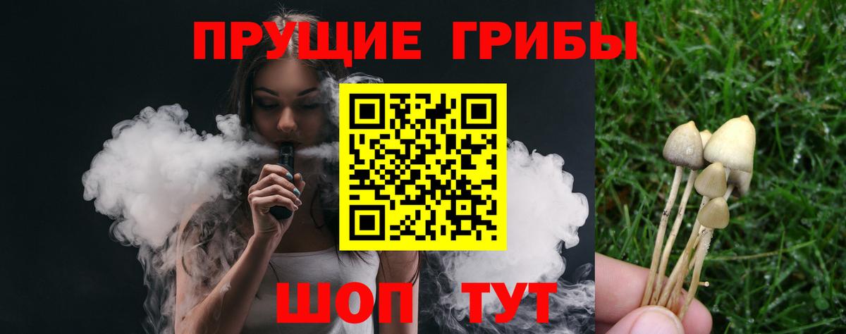 Псилоцибиновые грибы Magic Shrooms Александров